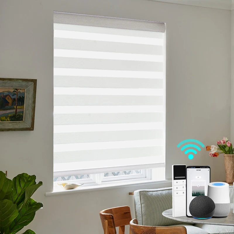 Day and Night Home Decorative Zebra Blinds Office Hardwired Multicolor Wireless Window Blinds Bedroom Home Blinds for Windows