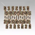Multicam