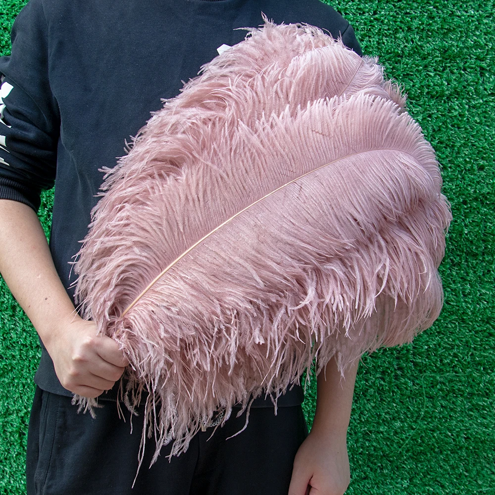 10Pcs Light pink Ostrich Feathers Craft DIY Jewelry 30-45cm for Wedding Party Carnival Decoration Craft Plumes Table Centpiece