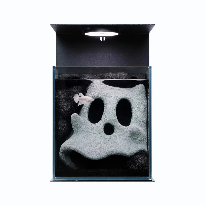

Trendy home mood atmosphere decoration special landscaping glass small fish tank for Douyu