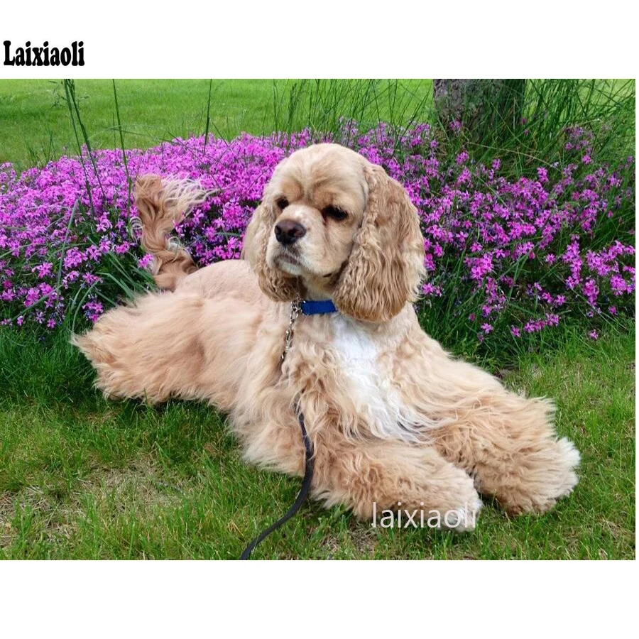 DIY 5D pintura de diamante cuadrado cocker británico spaniel kits de punto de cruz mosaico de diamantes hecho a mano bordado de diamantes patrones de perro