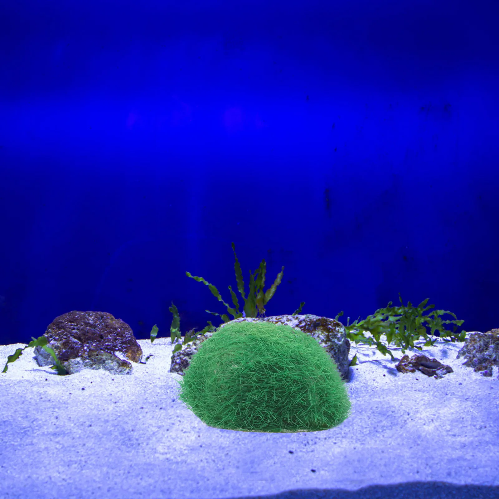 

Simulated Green Algae Ball 3 4CM Fish Tank Moss Stone Resin Decor Aquarium Layout Prop Artificial Moss Decor Pet Supplies