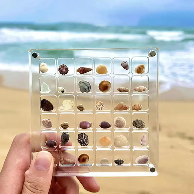 

2025 New 36 Grids Acrylic Seashell Display Box Seashell Display Diamond Storage Box Small Craft Organizers Compartment