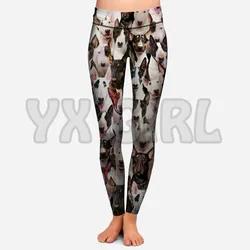 Leggings gothiques College en 3D pour femmes, vous aurez un bouquet de taureaux, leggings skinny sexy, élastiques, yoga