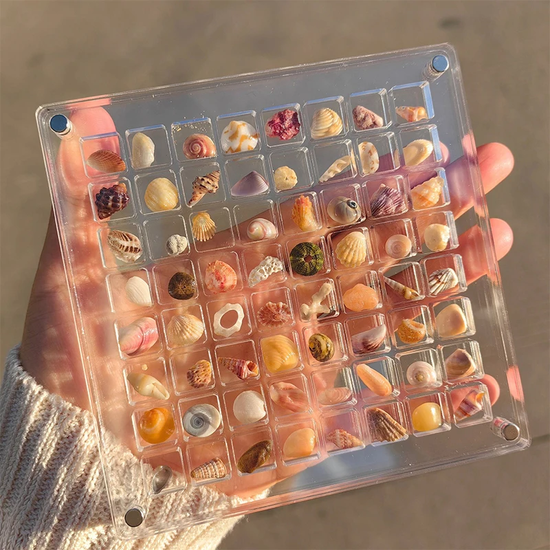 Acrylic Magnetic Seashell Display Box Seashell Clear Starfish Trinket Organizers 36/64/100 Grids Mini Seashell Storage Box