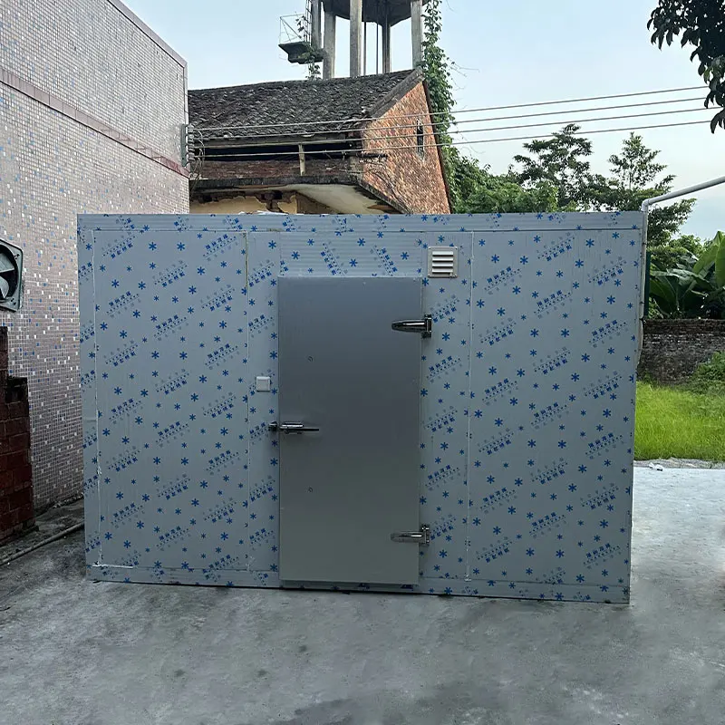 Camminata personalizzata ad alta efficienza nella stanza di congelamento nella stanza fredda fredda di refrigerazione commerciale dell'unità di raffreddamento