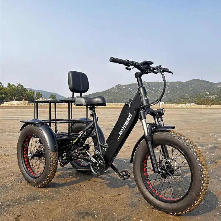 

Cheap Electric Bikes and Trikes for Adult's 48v Adult Electric Quad Bike/electric Bike Three Wheels Adult