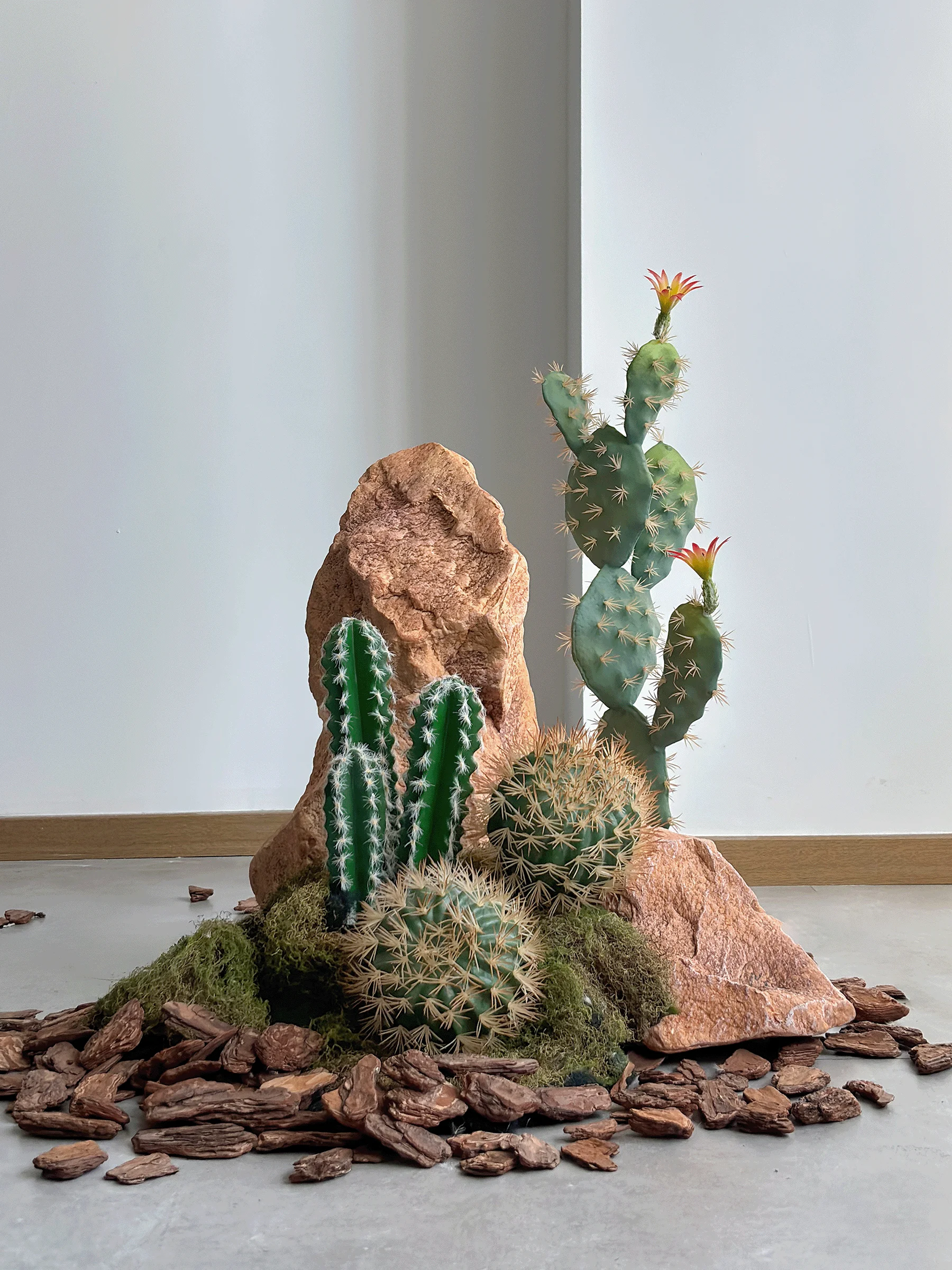 

Искусственный кактус для декора: имитация растения для лестниц, интерьеров, витрин и фотосессий