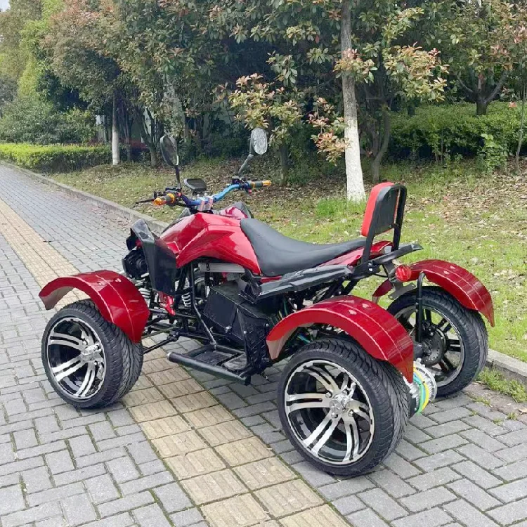 Nieuw ontwerp 60V 3000W ATV quad motorfiets met CE