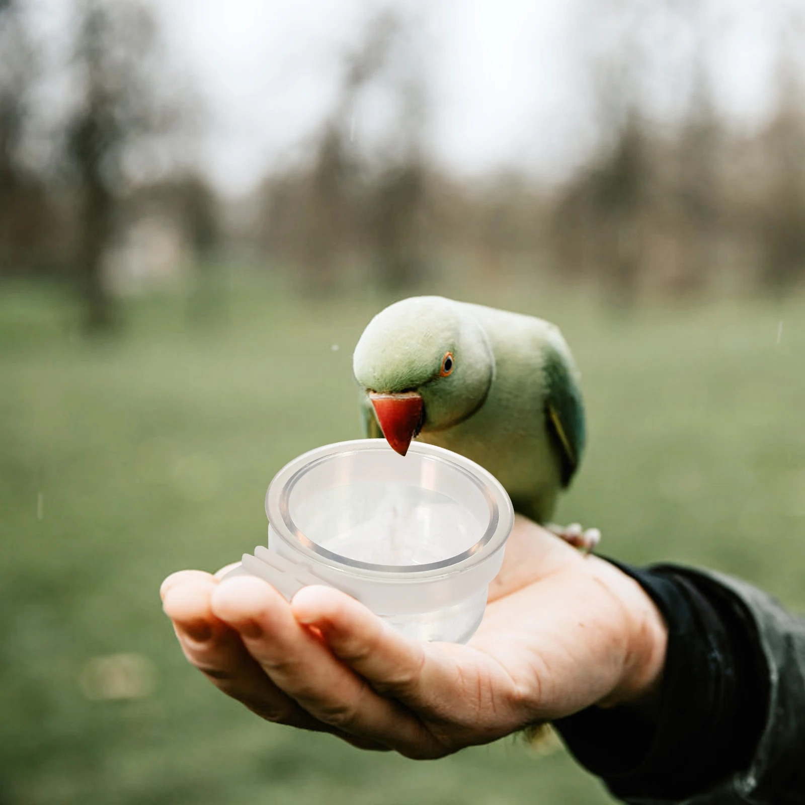 

Totority 5pcs Hanging Parrot Bowls Multi-function Bird Feeder for Seed Food Water Outdoor Household Accessory