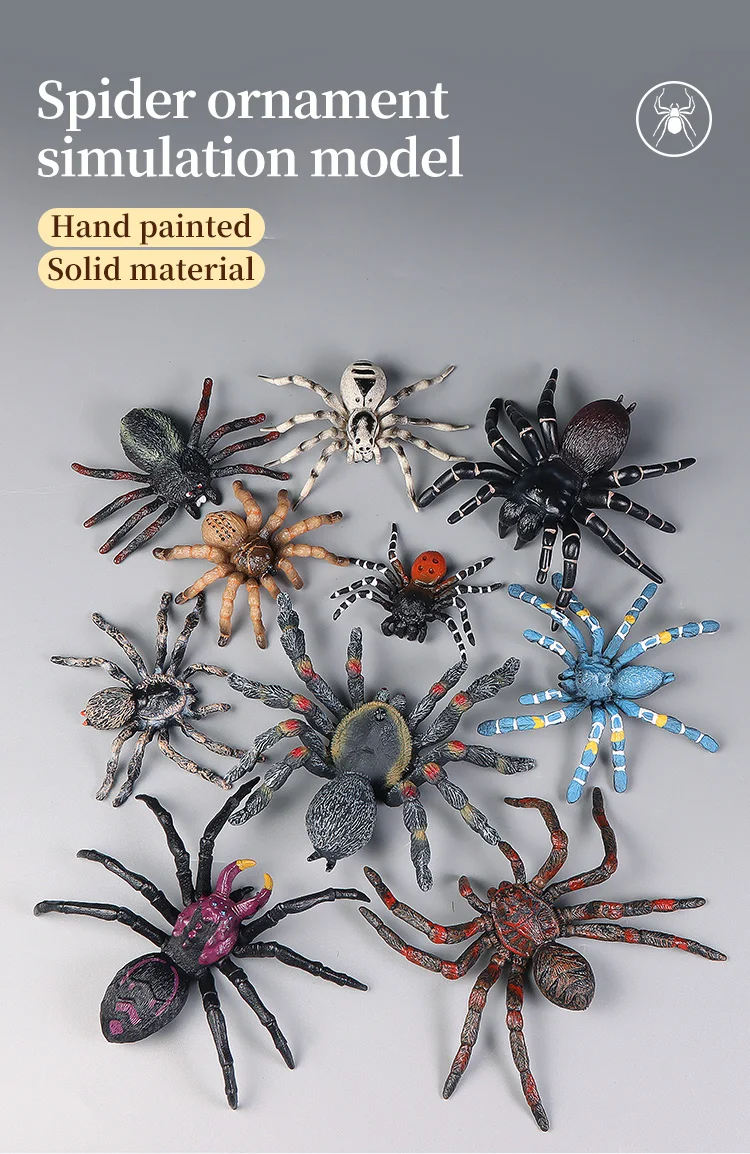 Pädagogische Insekten Spinne Spielzeug Zoo Action Figur Set Tier Welt Wissenschaft Kognitive Lernen Modell Simulation Dekor für Kinder – Detail 1