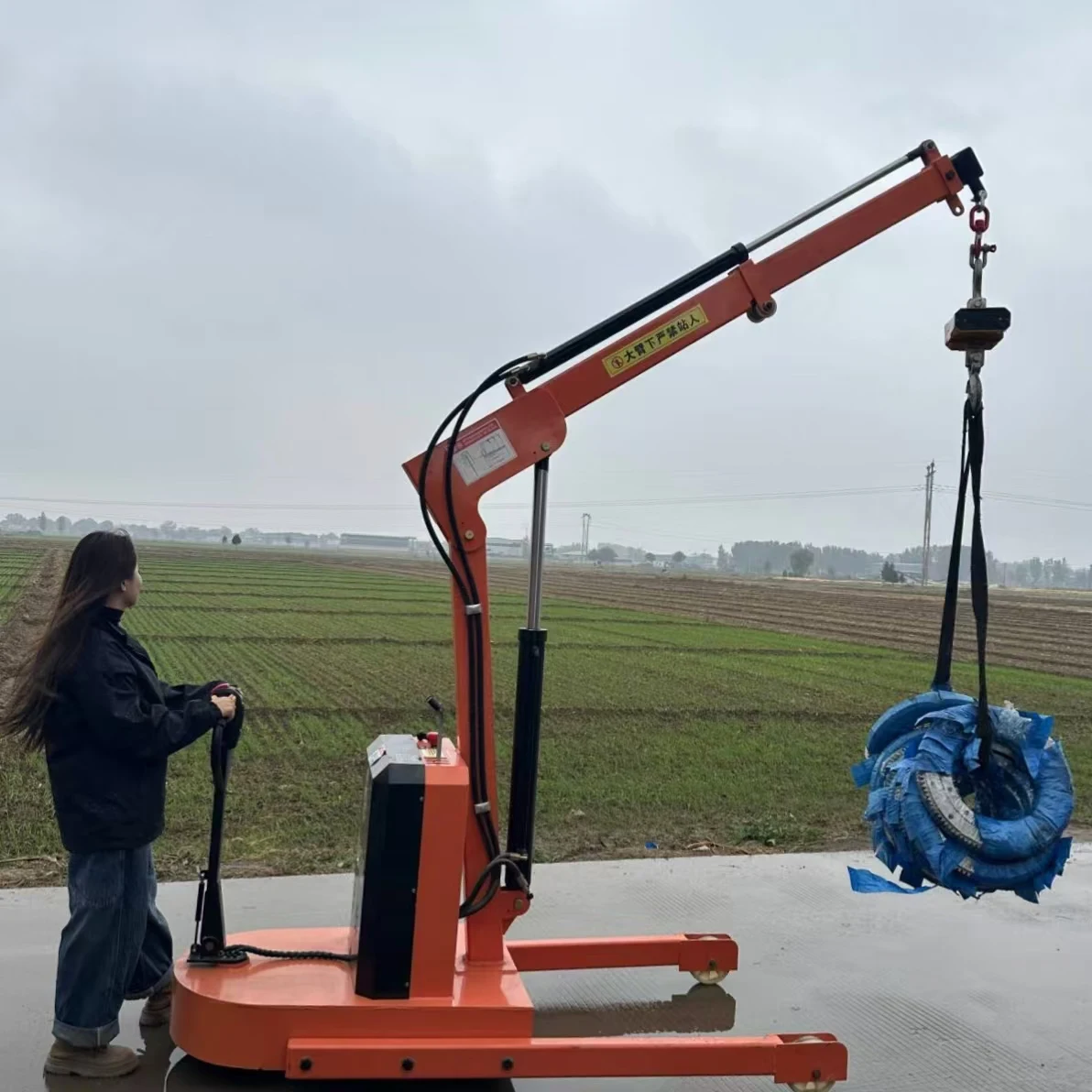 Mini Automatic Portable Lifting Electric Driven Arm Powered Crane Warehouse Electric Mini Lifting Crane