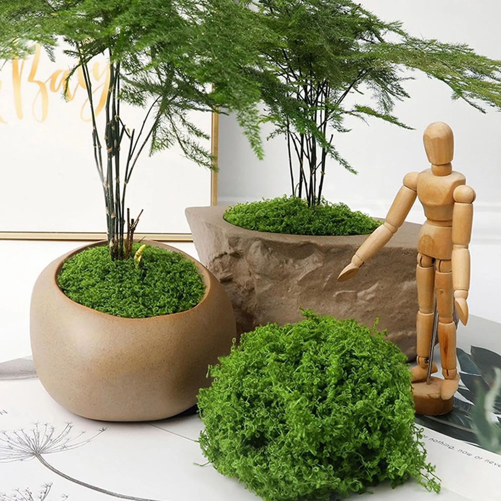 50/200g Artificial Moss For De - Preserved Moss Sheet recension och pris