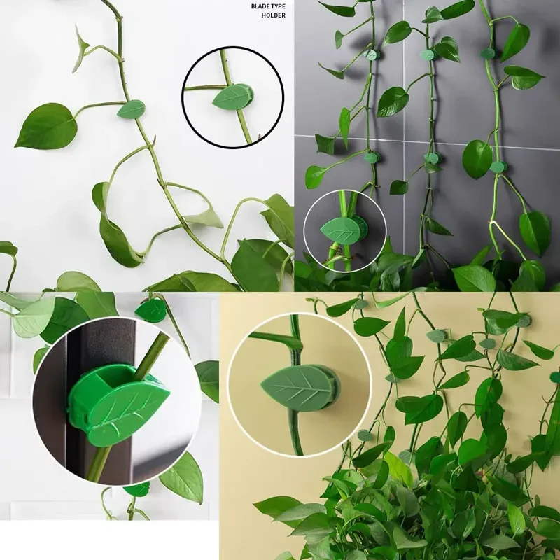 10-30Pcs Plant Climbing Wall Fixture Clips Acrylic Sticker Self-Adhesive Hook Plant Vine Traction Holder Indoor Outdoor Decor