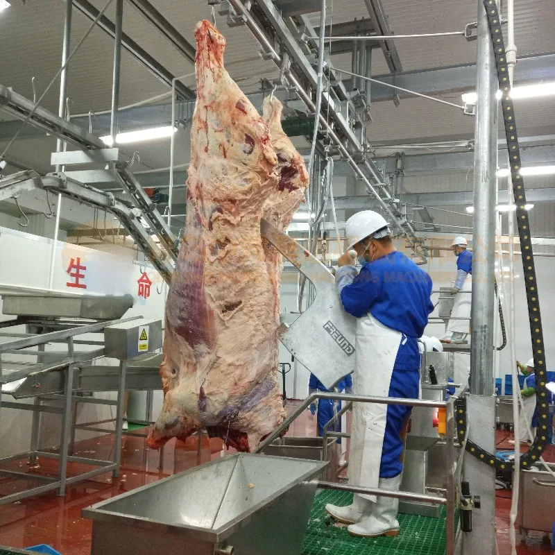 خط ذبح الماشية مطابقة إجراءات ذبح الماشية