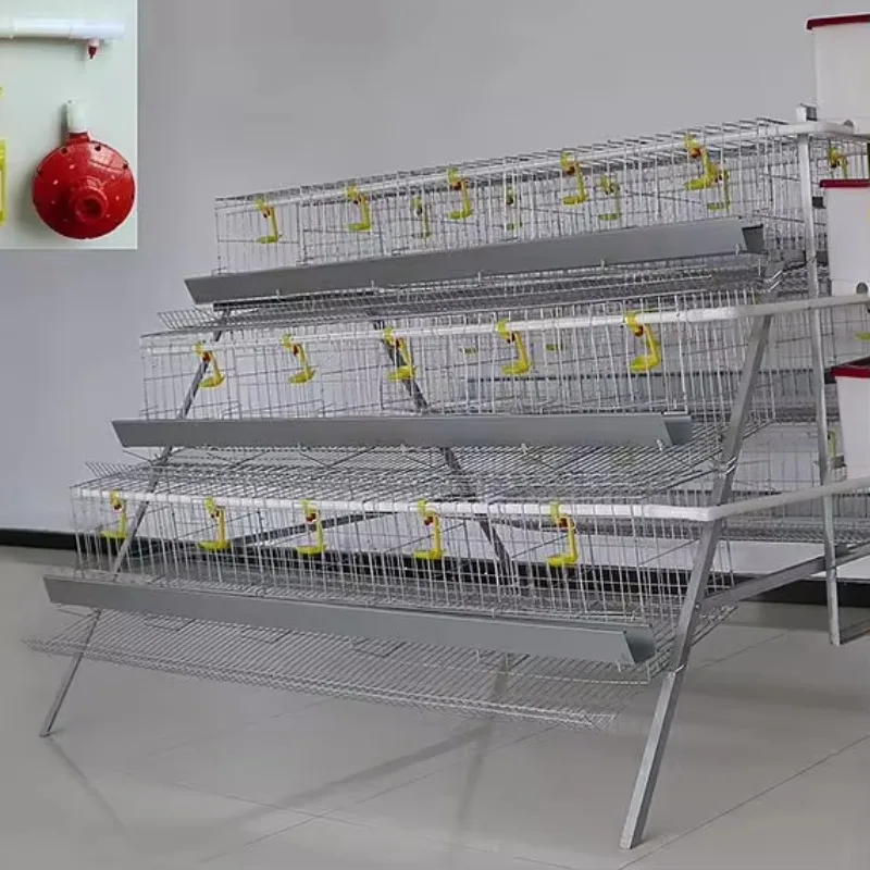high-quality steel type A special cage poultry breeding equipment automatic chicken coop battery cage with fecal belt 3/4 layer
