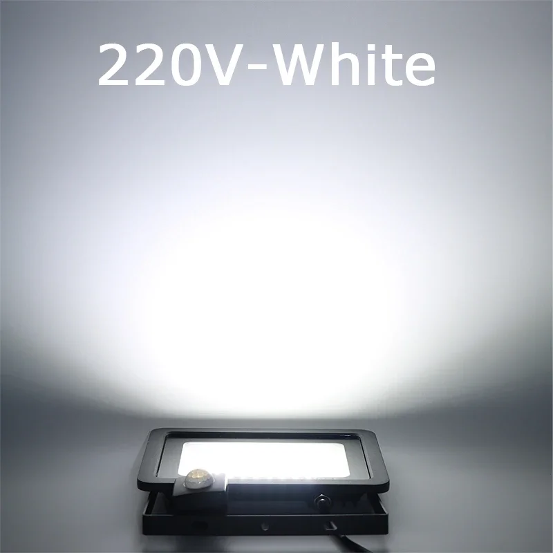 dengsum 10W 20W 30W 50W 100W Induktions-LED-Flutlicht mit verstellbarem PIR-Sensor 110V 220V Flutlicht Street Square Außenbeleuchtung 3