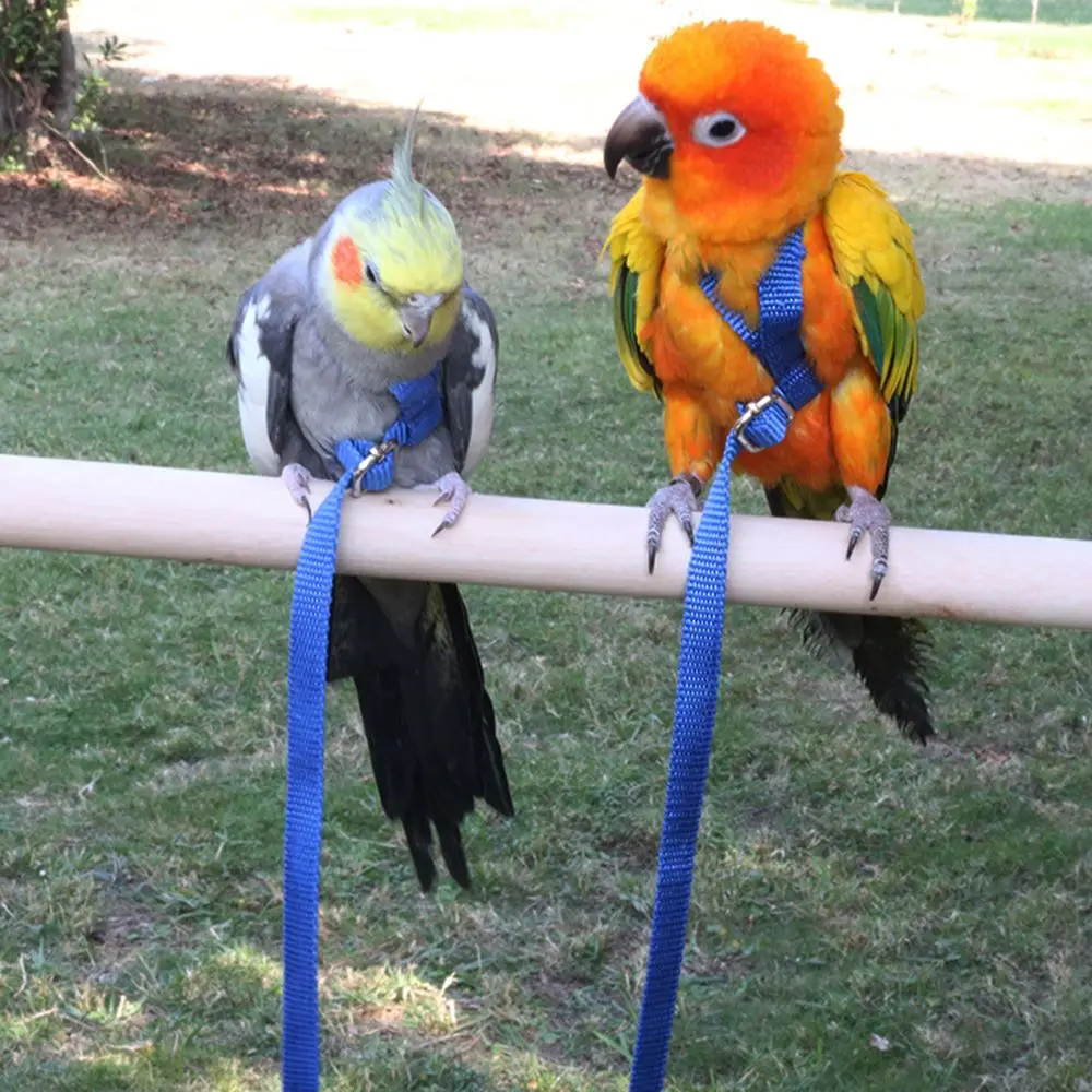 Cute 1 Pcs Anti-Bite Bird Supplies Adjustable Portable Bird Leash Pet Training Rope Traction Strap Parrot Harness