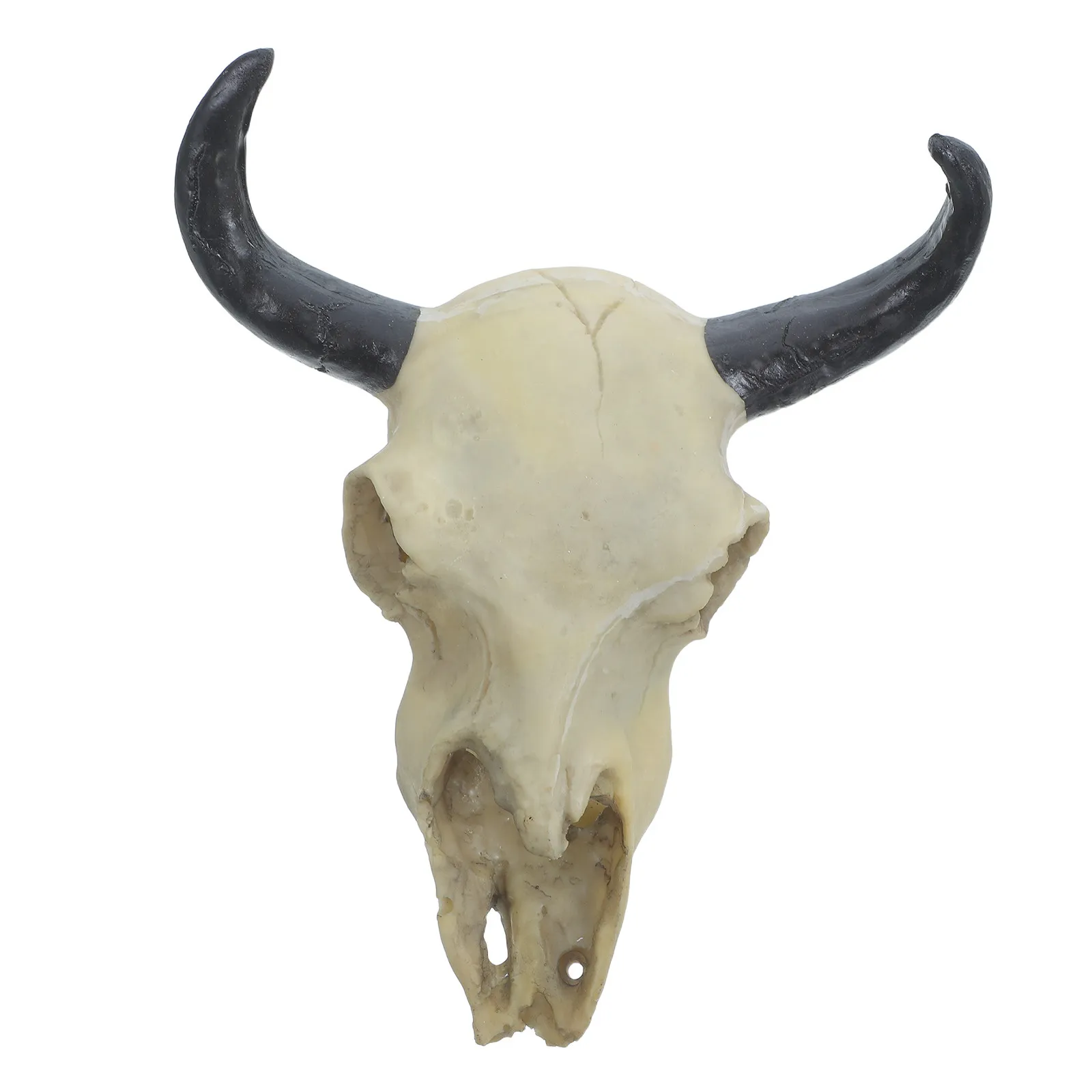 Resin Bull Horn Wall Hanging Rustic Western Skull Decor for Home Bar Office Living Room Decorative Animal Head Sculpture