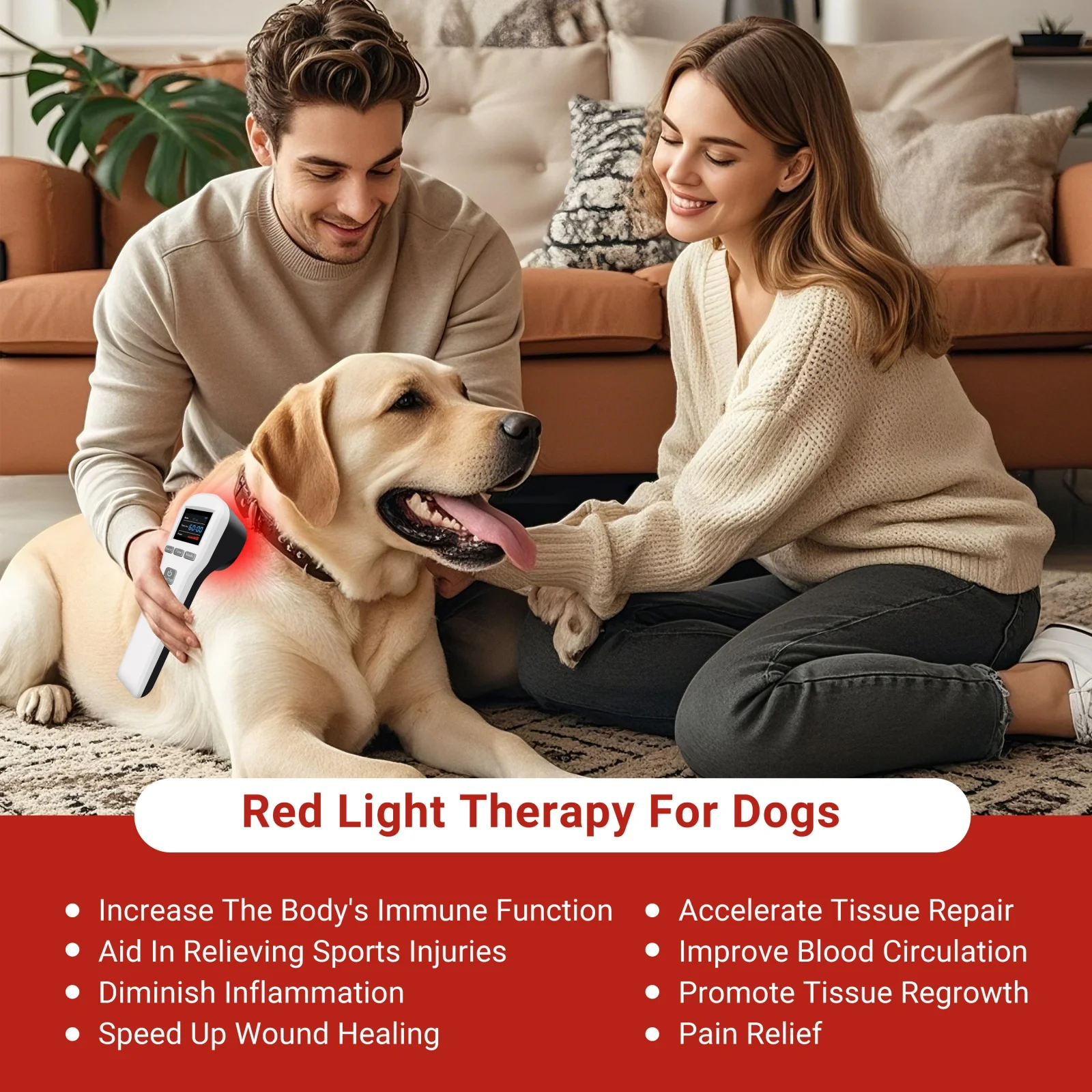 

Аппарат для холодной лазерной терапии ZJKC LLLT 650нм 808нм для снятия боли, лечение мягким красным светом, для кошек, собак, лошадей, при спортивных травмах, для домашнего использования