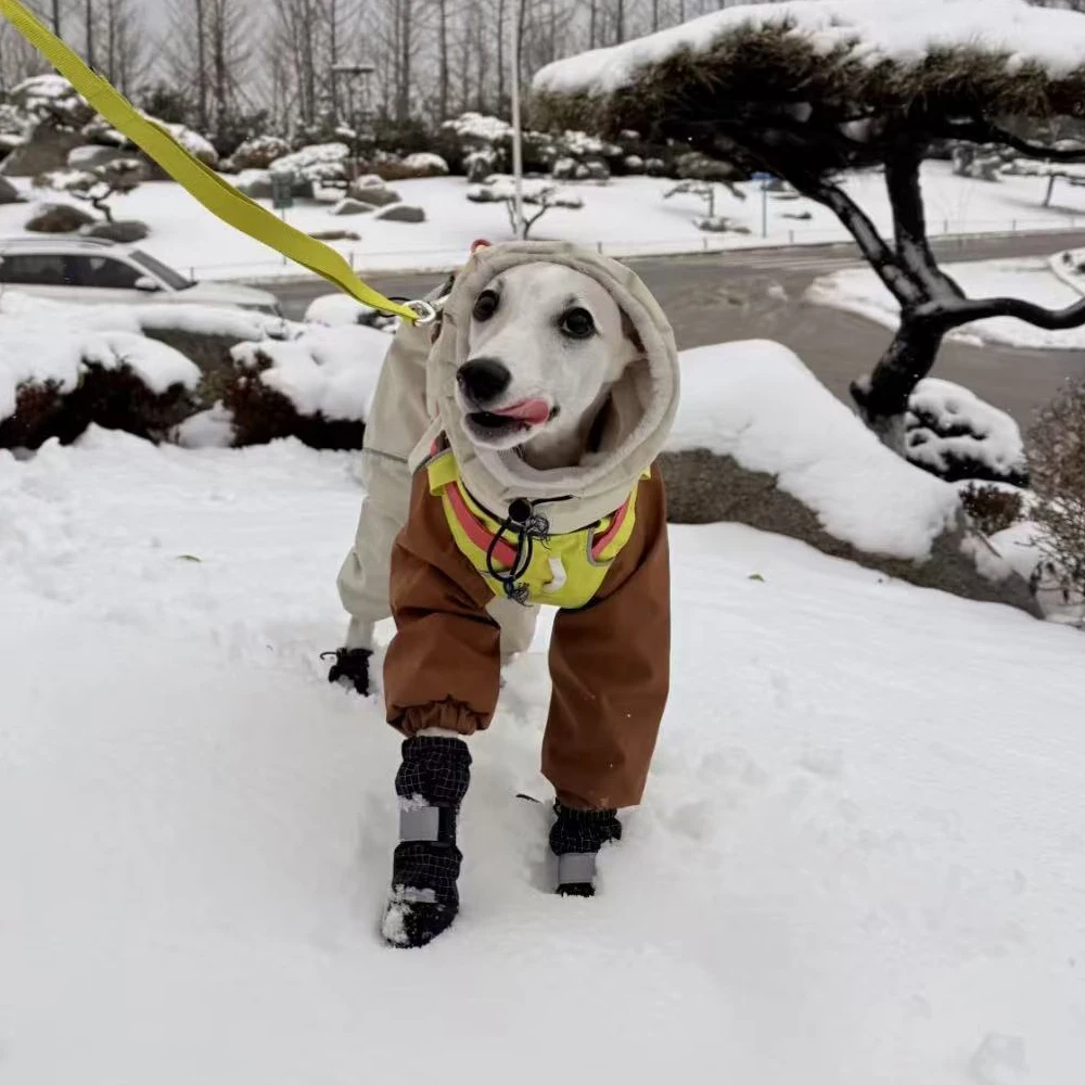 Winter 4-legged Plush Jacket for Whippet Dogs Windproof Waterproof Zipper Coat Warm RainCoat for Italian Greyhound