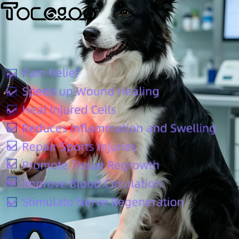 Advanced 5W Laser Therapy Machine for Hand Wrist Arthritis Pain Relief Joint Inflammation Wound Healing Home Treatment