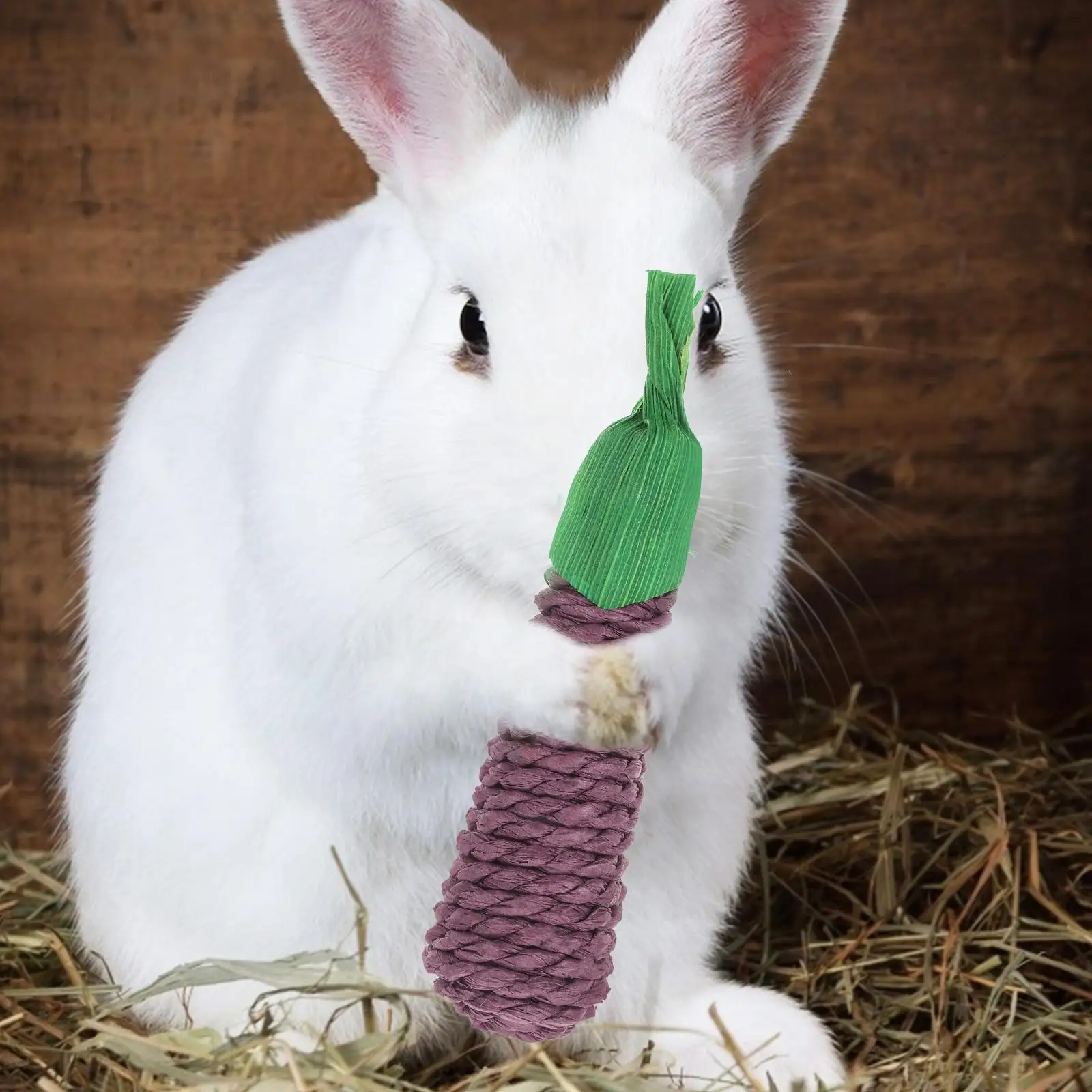 6 قطعة لعبة مطاطي القش الباذنجان أرنب عض الهامستر اللعب لدغة عصا الدعامة مضغ شينشيلا توريد اللعب