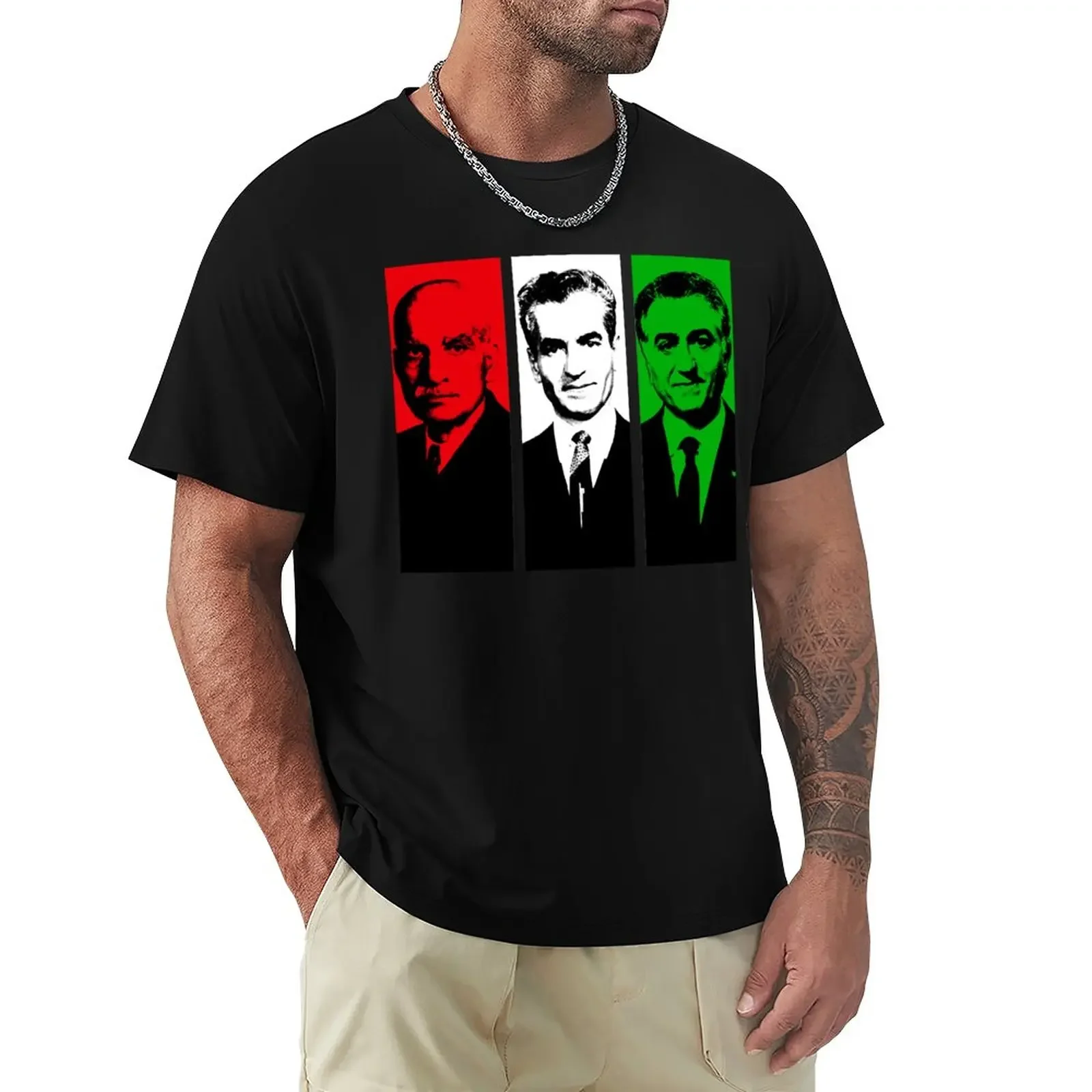 Pahlavi Kings Of Iran By Fereshteh Gilaki T-Shirt Customizeds Oversized T-Shirt Voor Mannen