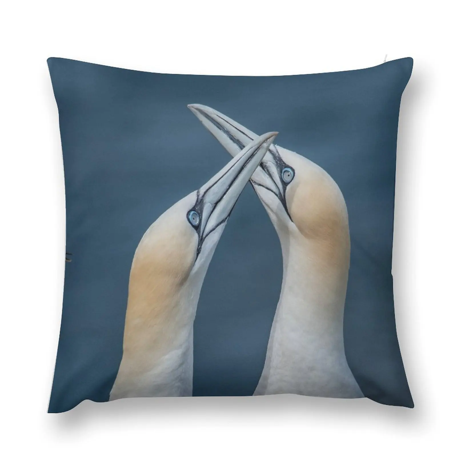 Gannet Love Birds. Throw Pillow Decorative Cover For Living Room Anime Couch Pillows pillow