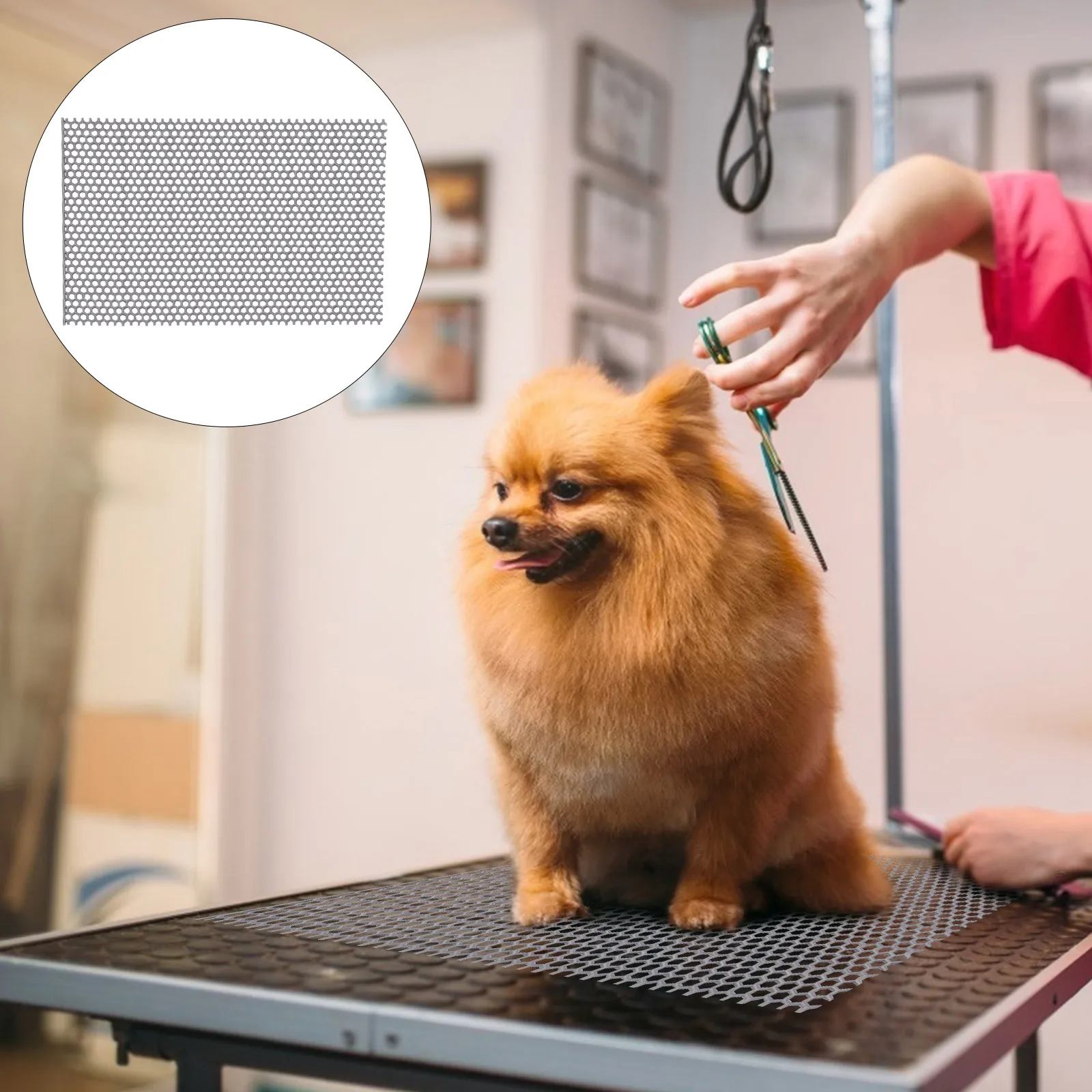 

Board Pet Isolation Pad Cage Resting Mat Hole Rabbit Easy to Use under Kennel Floor Protective Pvc Material Dog