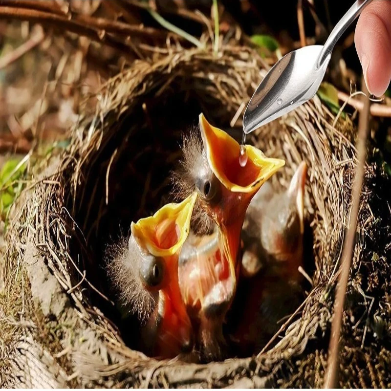 

‌Hand Feeding Syringe for Baby Parrots Budgies Cockatiels 5ml 10ml Bird Weaning Supplies Liquid Medicine Dispenser Pet Handy