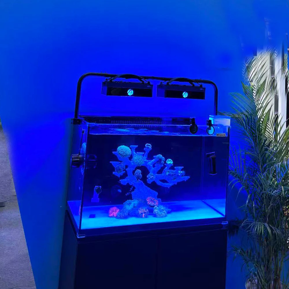 Wholesale A8 Smart WiFi App Pr - Marine Aquarium App 评论和价格
