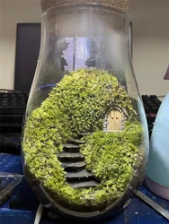 Water Droplets Shape Glass Jars Micro Landscape Ecological Glass Vase with Cork Bryophyte Moss Plant Landscaping Glass Container