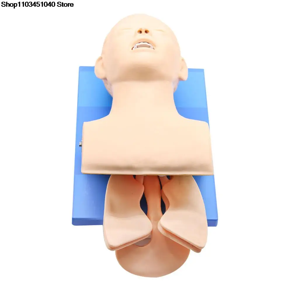 Intubation Model for Adult, Electronic Human Nasopharyngeal  Airway, Emergency Medical Nursing Training, Mannequin