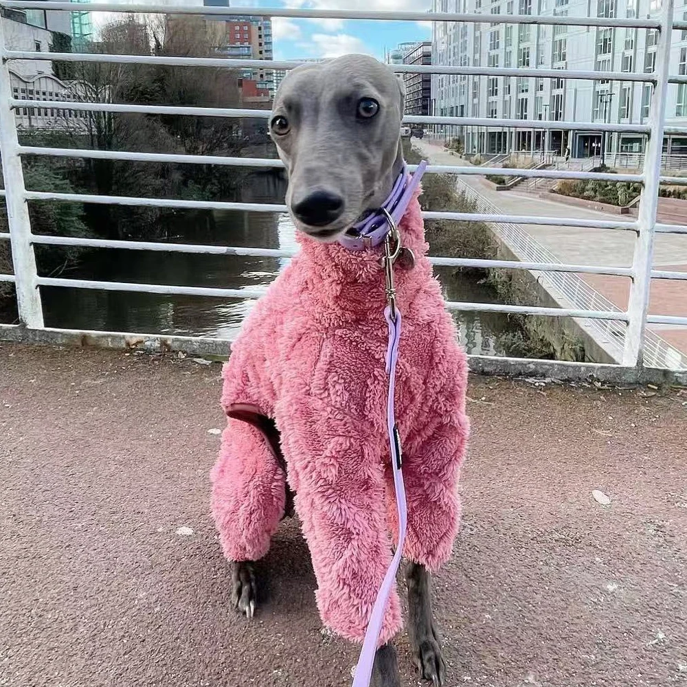 Abrigo invierno grueso cuello alto para galgos y whippet – Forro polar - imagen 5
