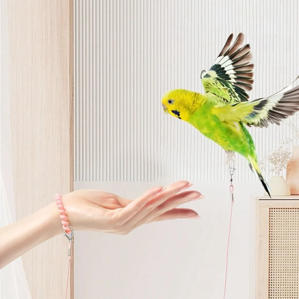 Elastic Parrot Traction Rope Anti-flying Metal Buckle Bird Foot Chain Lightweight Multiple Size Parrots Training Leash for Birds
