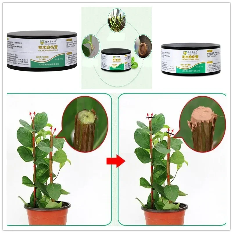 50g Bonsai Pruning Cutting Paste Tree Pruning Sealer Grafting Cutting Paste Wound Sealant Wound Sealant Flower Pot Planting