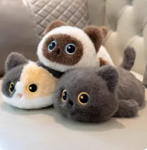 D3-500W Dsp Monoblo…