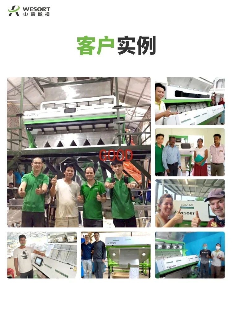 Sorter barley peanut screening equipment