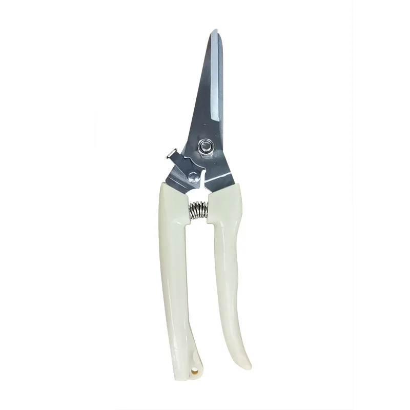 Stainless Steel Pruning Shears for Trimming Branches. Special Flower Arrangement Scissors. Household Garden Scissors