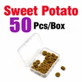 Sweet Potato