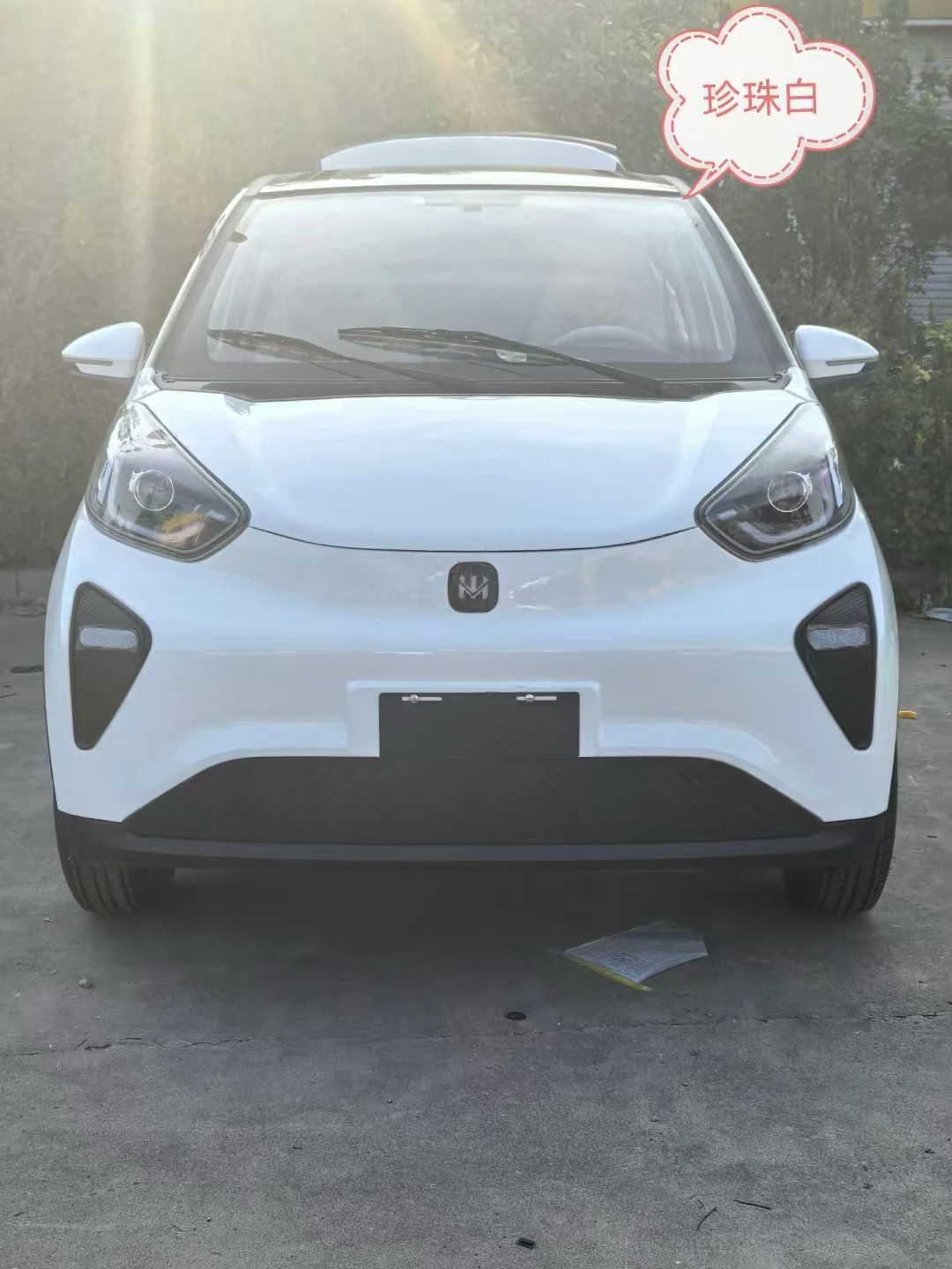 Lithium battery electric vehicle hot-selling 2WD purple lead lithium energy electric vehicle women's model
