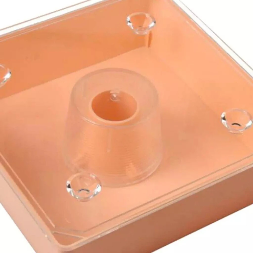 [NEWA64Z!】 Bee Feeder Square 2 Litres Beehive Top Feeder Beekeeper Tool Beekeeping Feeder With Transparent Cover Pre-Assembled