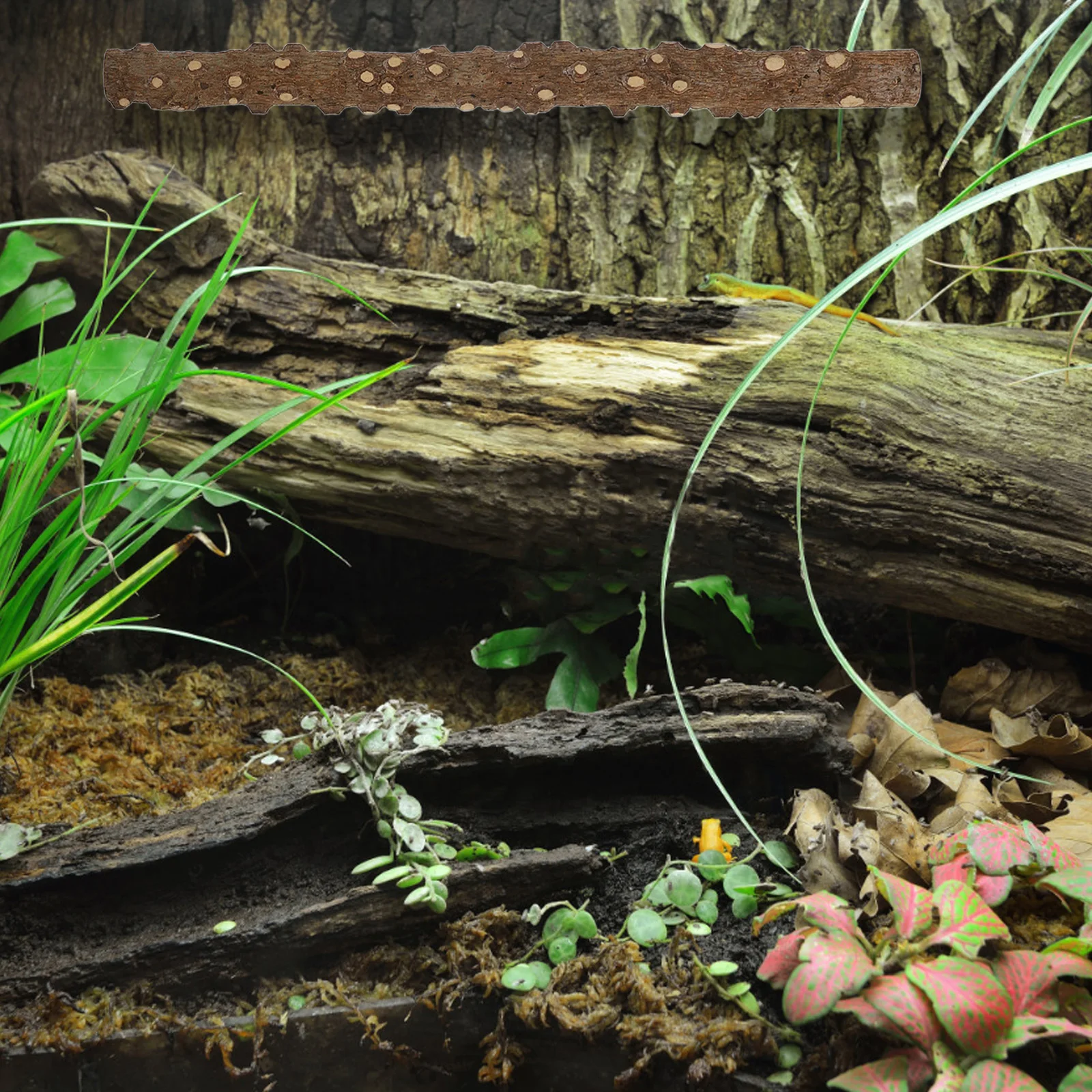 

2Pcs Reptile Climbing Stick Suction Cup Zip Ties Lizards Snakes Terrarium Habitat Decoration Bearded Dragon Accessory