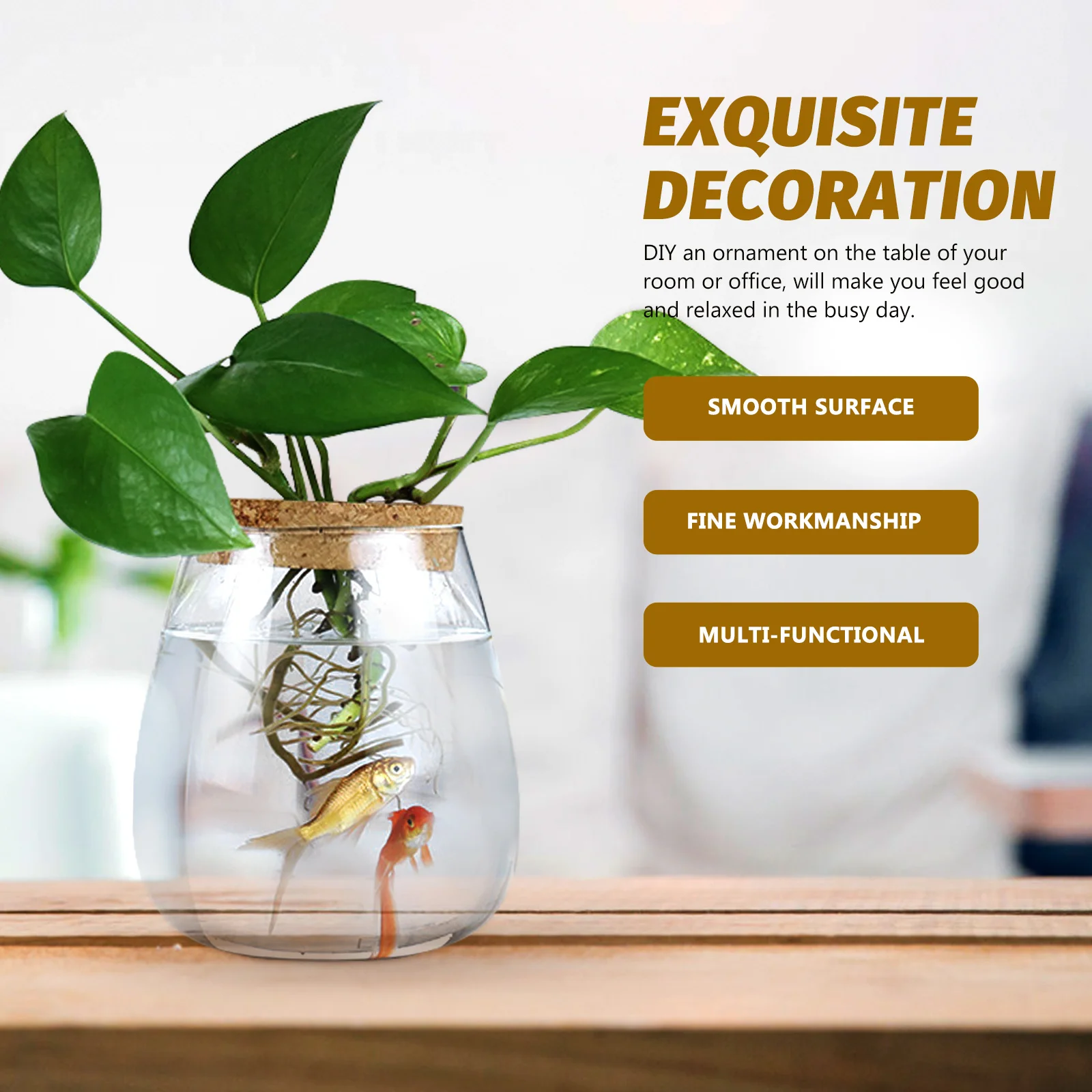 

Hydroponic Plant Bottle Glass Terrarium Vases for Plants Jar Jars Container Round