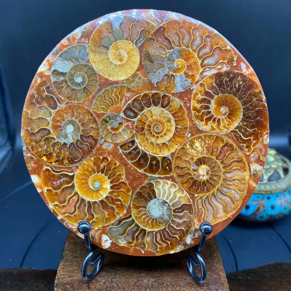 

A Set High Quality Crystal Round Shape Ammonite Stone Coaster 8/11cm Big Plate Ammonite Stone Carving Crystal for Decoration