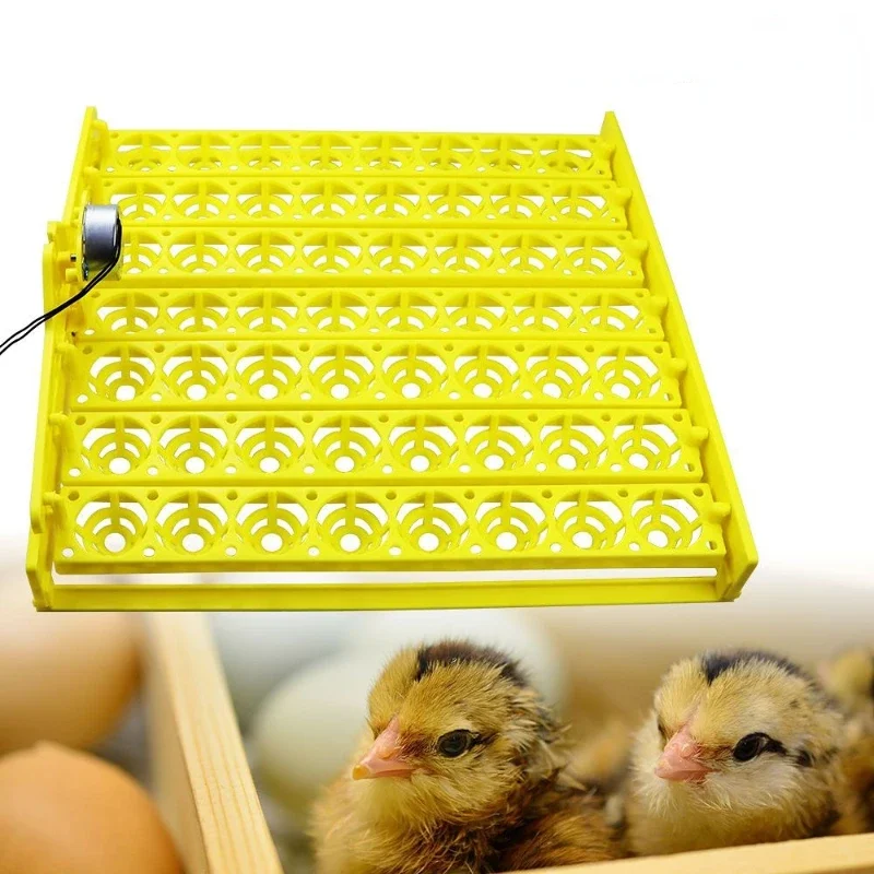 Automatic Incubator  56-position multifunctional egg turning small household chicken duck goose pigeon incubator