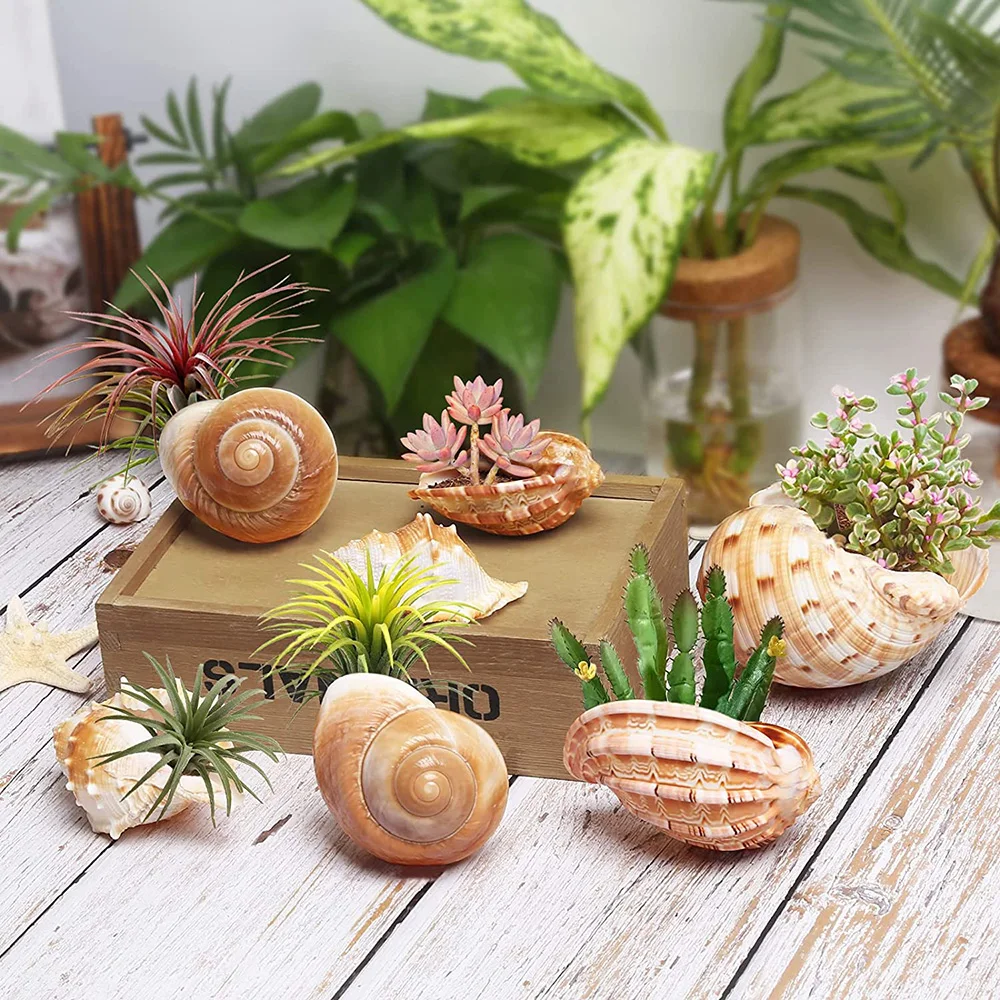 7PC Creative Conch Air Plant Flowerpot Plastic Imitation Ceramic Flower Pot Ornaments