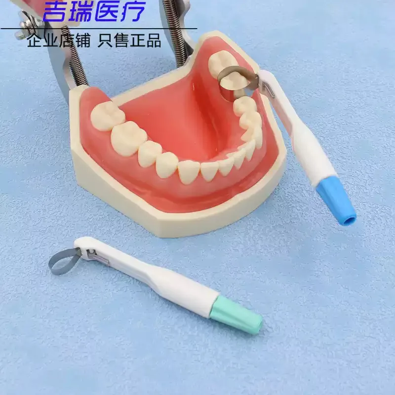 2025 Dental Matrix Band Adjustable Ring System Standard and Curved Pre Formed  Stainless Steel Material Lab Tools Oral Cavity