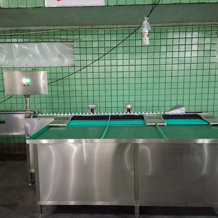 Automatic Egg Washing Machine with Water Circulation Egg Washer Reduce Water Consumption for Farm